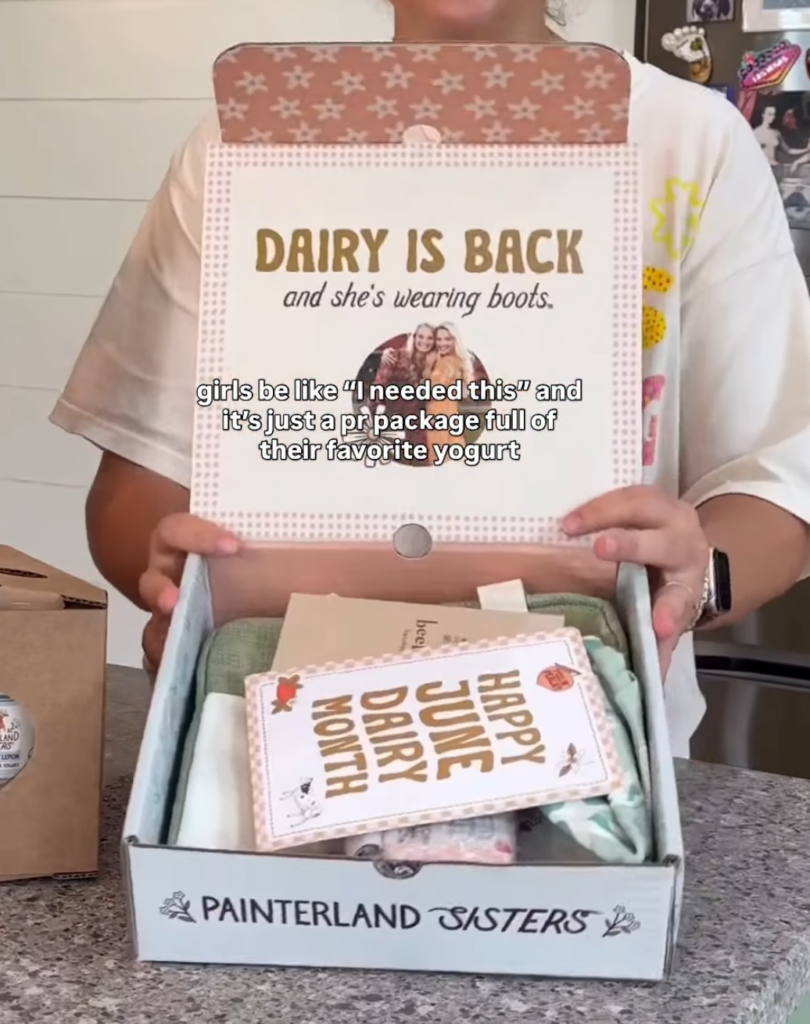 painterland influencer box